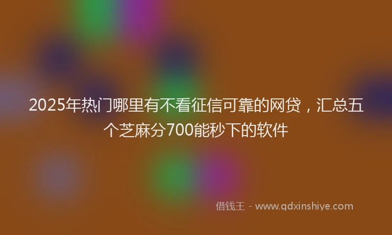 2025年热门哪里有不看征信可靠的网贷，汇总五个芝麻分700能秒下的软件