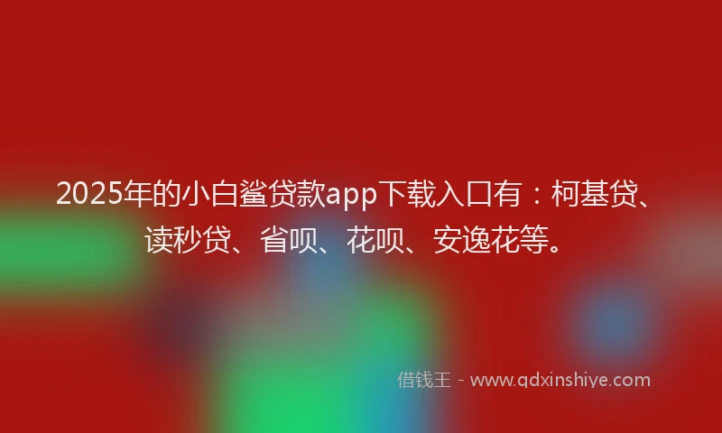 2025年的小白鲨贷款app下载入口有：柯基贷、读秒贷、省呗、花呗、安逸花等。