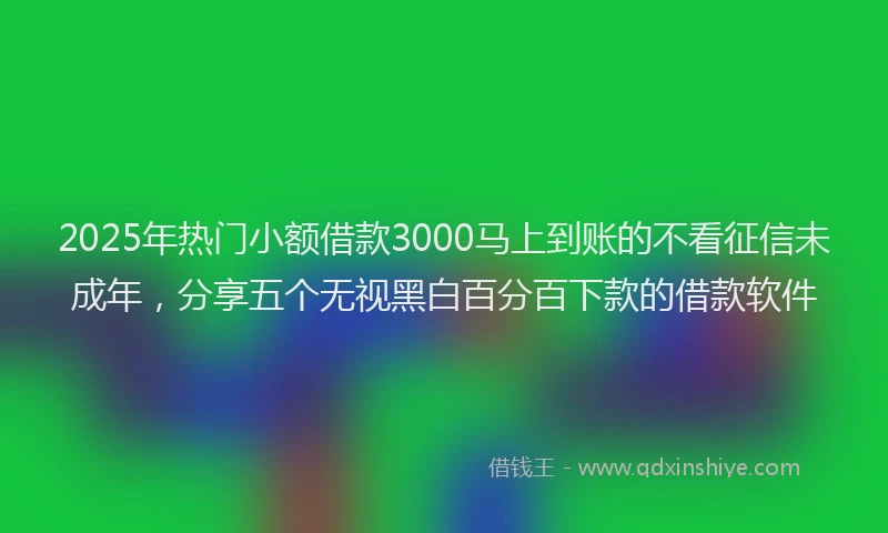 2025年热门小额借款3000马上到账的不看征信未成年,分享五个无视黑白百分百下款的借款软件