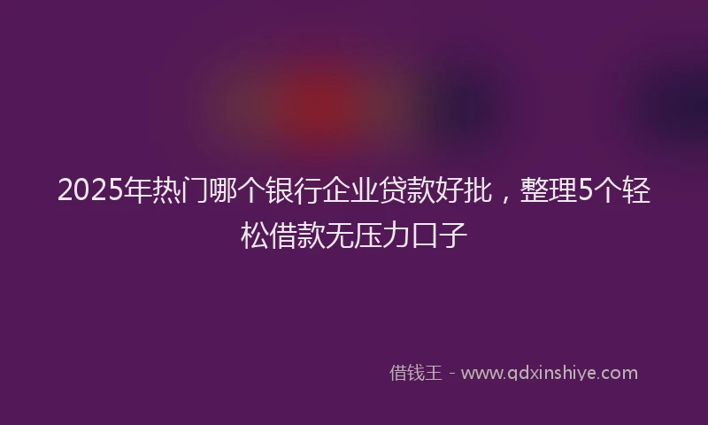2025年热门哪个银行企业贷款好批，整理5个轻松借款无压力口子