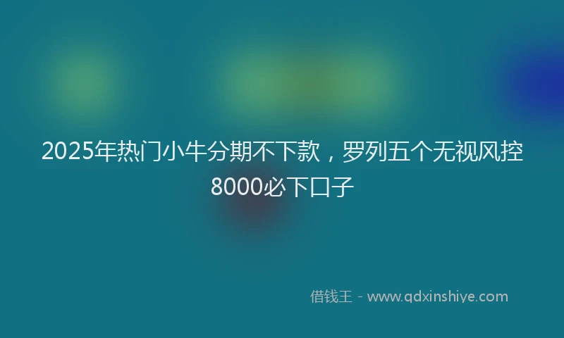2025年热门小牛分期不下款，罗列五个无视风控8000必下口子