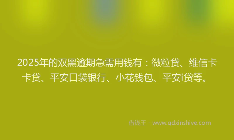 2025年的双黑逾期急需用钱有：微粒贷、维信卡卡贷、平安口袋银行、小花钱包、平安i贷等。