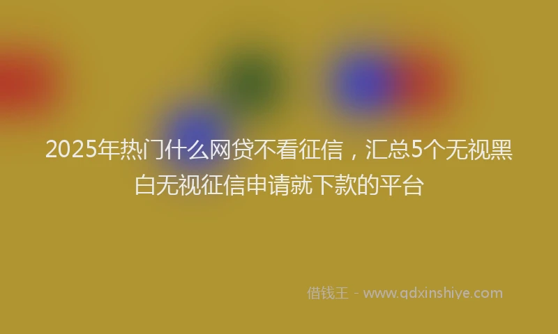2025年热门什么网贷不看征信，汇总5个无视黑白无视征信申请就下款的平台