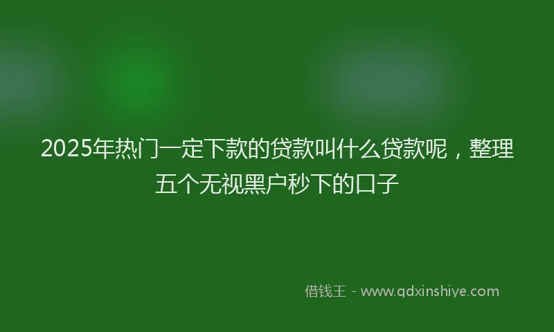 2025年热门一定下款的贷款叫什么贷款呢，整理五个无视黑户秒下的口子
