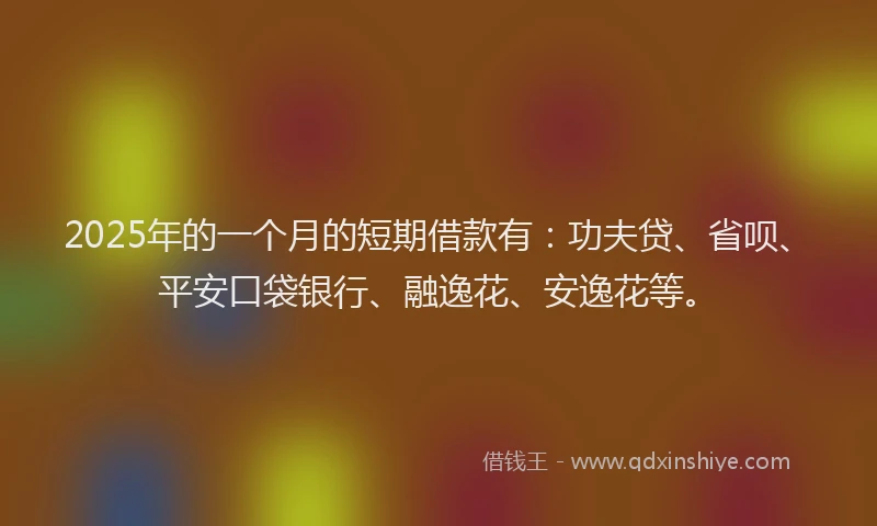 2025年的一个月的短期借款有：功夫贷、省呗、平安口袋银行、融逸花、安逸花等。