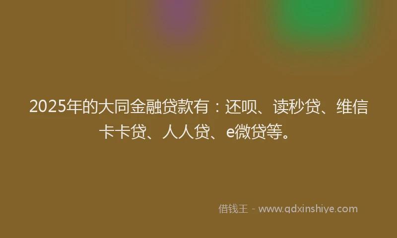 2025年的大同金融贷款有：还呗、读秒贷、维信卡卡贷、人人贷、e微贷等。