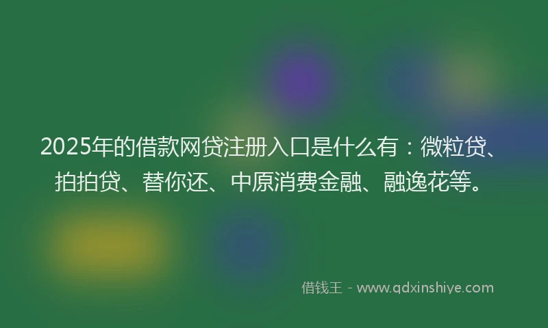 2025年的借款网贷注册入口是什么有：微粒贷、拍拍贷、替你还、中原消费金融、融逸花等。