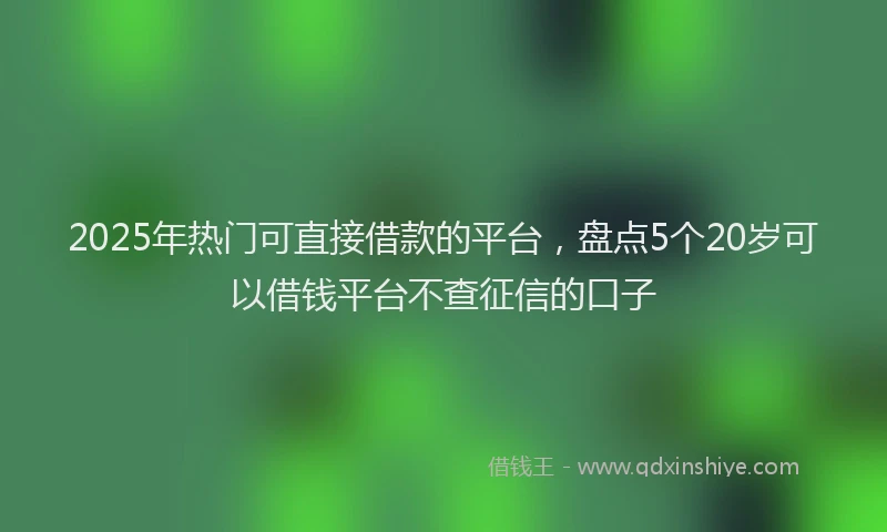 2025年热门可直接借款的平台，盘点5个20岁可以借钱平台不查征信的口子