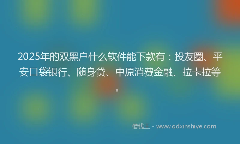2025年的双黑户什么软件能下款有：投友圈、平安口袋银行、随身贷、中原消费金融、拉卡拉等。