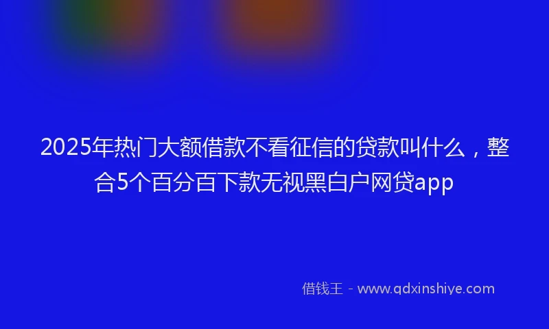 2025年热门大额借款不看征信的贷款叫什么，整合5个百分百下款无视黑白户网贷app