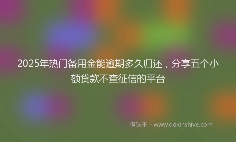 2025年热门备用金能逾期多久归还，分享五个小额贷款不查征信的平台