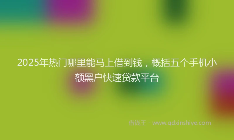 2025年热门哪里能马上借到钱，概括五个手机小额黑户快速贷款平台