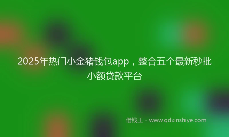 2025年热门小金猪钱包app，整合五个最新秒批小额贷款平台