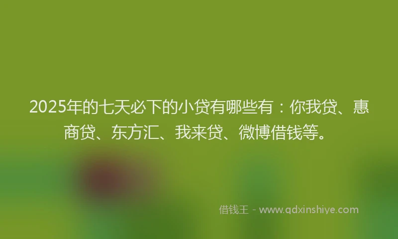 2025年的七天必下的小贷有哪些有：你我贷、惠商贷、东方汇、我来贷、微博借钱等。