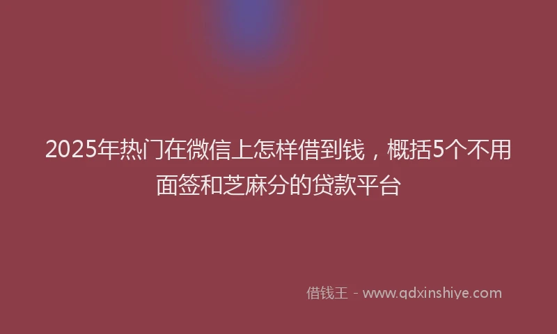 2025年热门在微信上怎样借到钱，概括5个不用面签和芝麻分的贷款平台