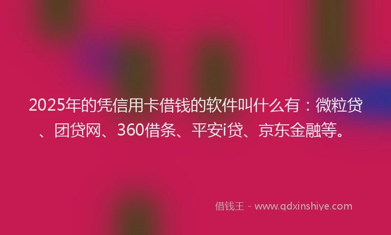 2025年的凭信用卡借钱的软件叫什么有：微粒贷、团贷网、360借条、平安i贷、京东金融等。