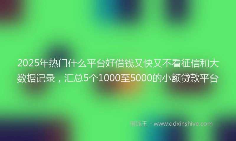 2025年热门什么平台好借钱又快又不看征信和大数据记录，汇总5个1000至5000的小额贷款平台
