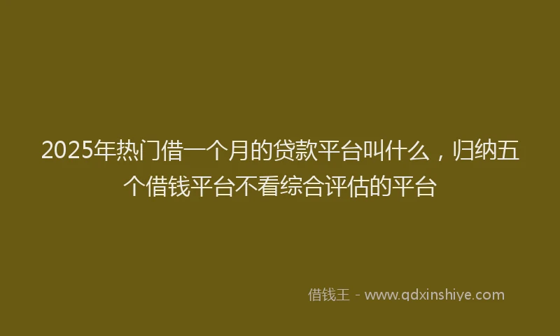2025年热门借一个月的贷款平台叫什么，归纳五个借钱平台不看综合评估的平台