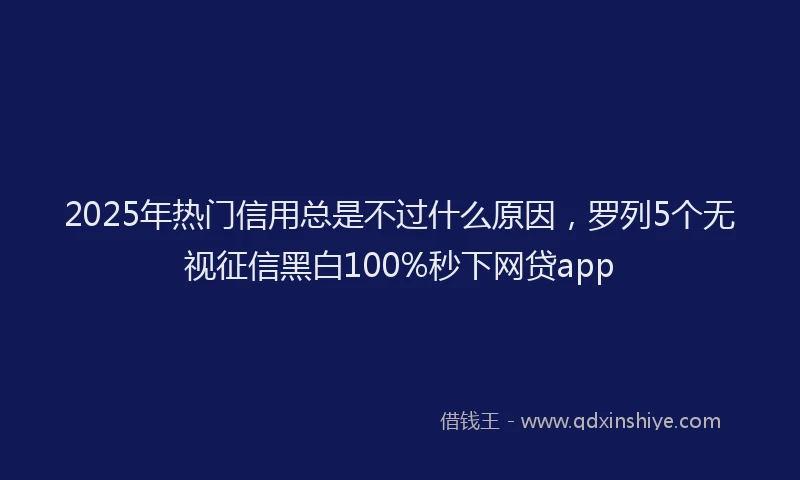 2025年热门信用总是不过什么原因，罗列5个无视征信黑白100%秒下网贷app