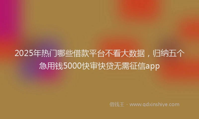 2025年热门哪些借款平台不看大数据，归纳五个急用钱5000快审快贷无需征信app