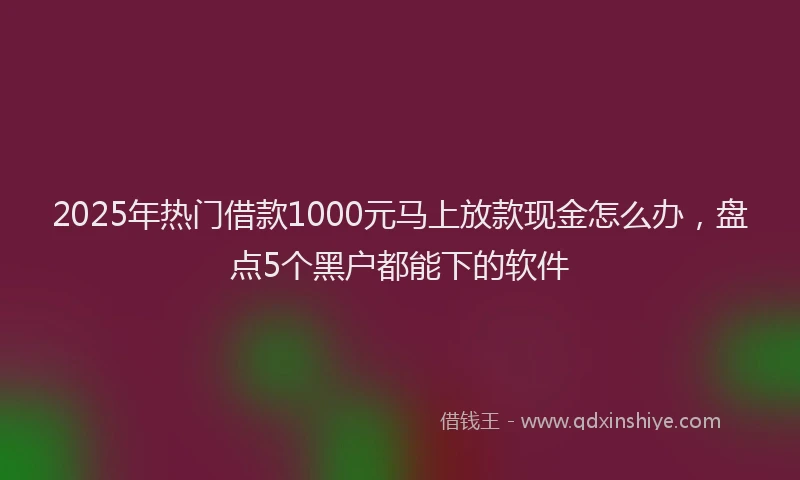 2025年热门借款1000元马上放款现金怎么办，盘点5个黑户都能下的软件