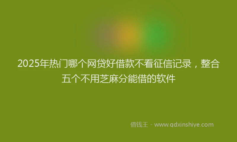 2025年热门哪个网贷好借款不看征信记录，整合五个不用芝麻分能借的软件