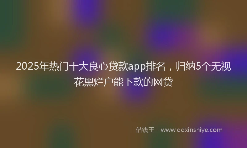 2025年热门十大良心贷款app排名，归纳5个无视花黑烂户能下款的网贷