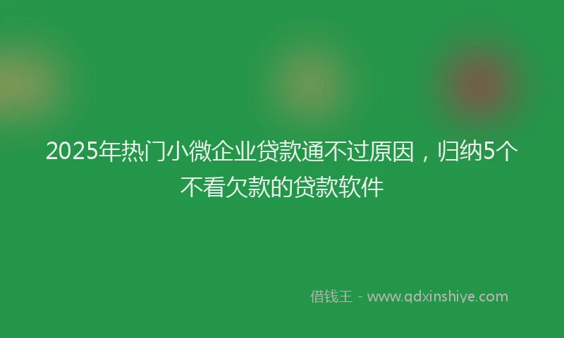 2025年热门小微企业贷款通不过原因，归纳5个不看欠款的贷款软件
