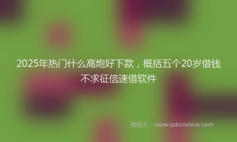 2025年热门什么高炮好下款，概括五个20岁借钱不求征信速借软件