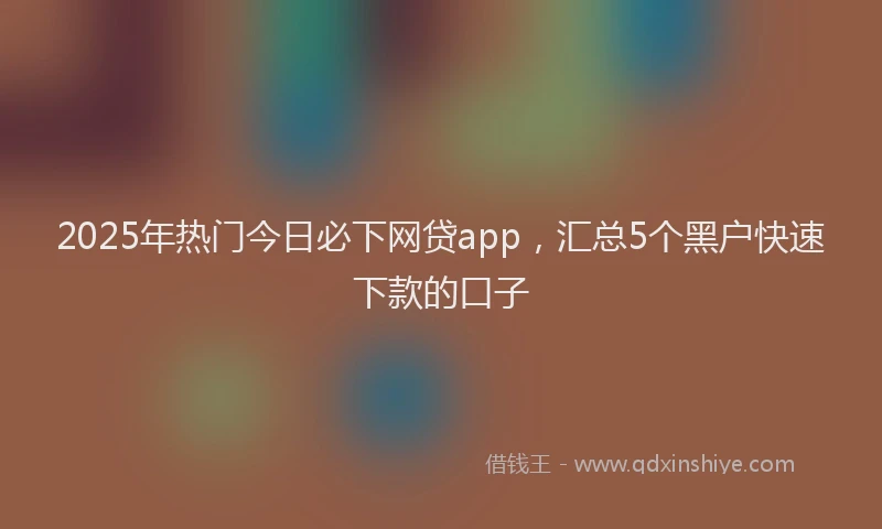 2025年热门今日必下网贷app，汇总5个黑户快速下款的口子