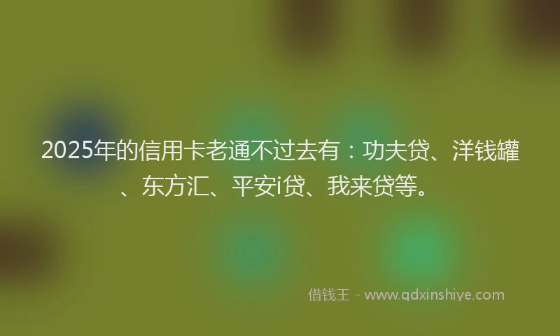 2025年的信用卡老通不过去有：功夫贷、洋钱罐、东方汇、平安i贷、我来贷等。