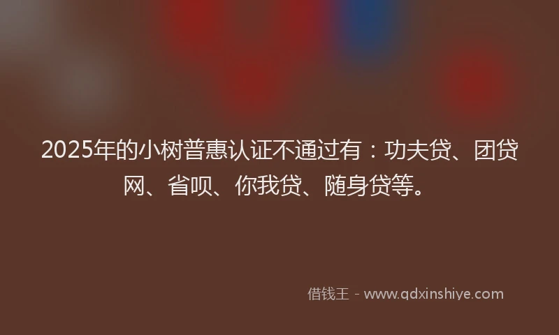 2025年的小树普惠认证不通过有：功夫贷、团贷网、省呗、你我贷、随身贷等。