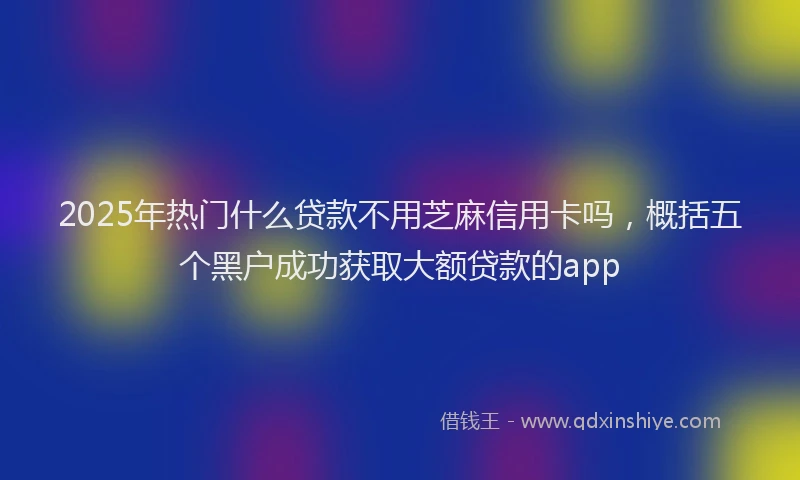 2025年热门什么贷款不用芝麻信用卡吗，概括五个黑户成功获取大额贷款的app
