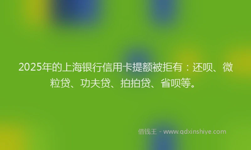 2025年的上海银行信用卡提额被拒有：还呗、微粒贷、功夫贷、拍拍贷、省呗等。