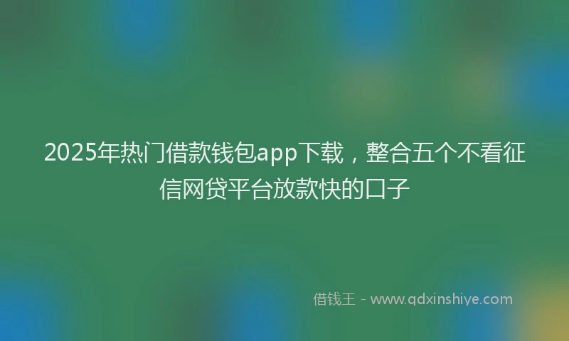 2025年热门借款钱包app下载，整合五个不看征信网贷平台放款快的口子