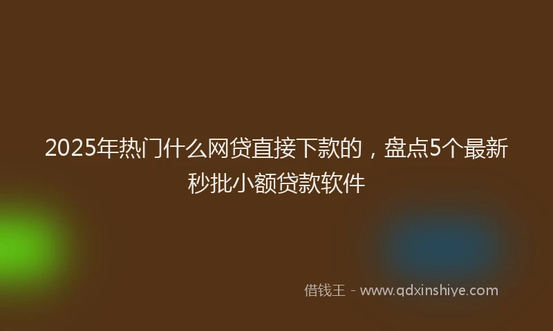 2025年热门什么网贷直接下款的，盘点5个最新秒批小额贷款软件