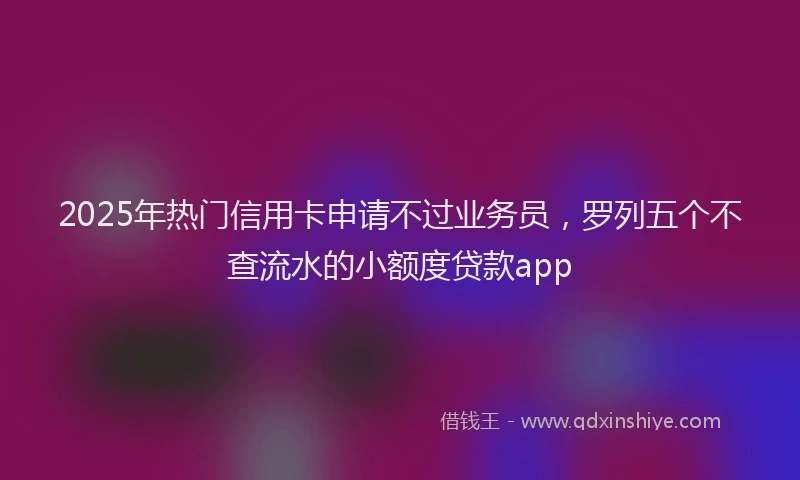 2025年热门信用卡申请不过业务员，罗列五个不查流水的小额度贷款app