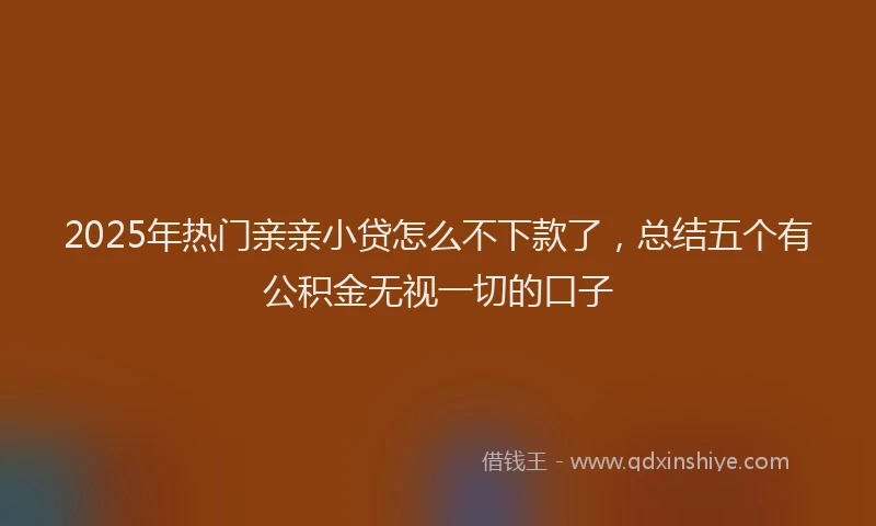 2025年热门亲亲小贷怎么不下款了，总结五个有公积金无视一切的口子