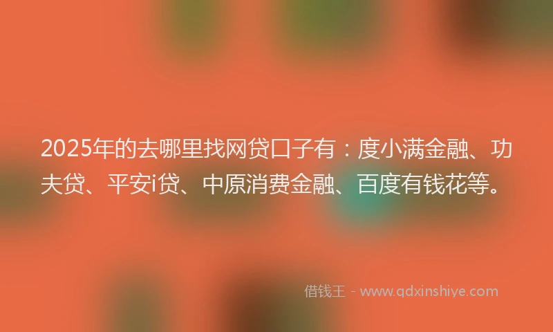 2025年的去哪里找网贷口子有：度小满金融、功夫贷、平安i贷、中原消费金融、百度有钱花等。