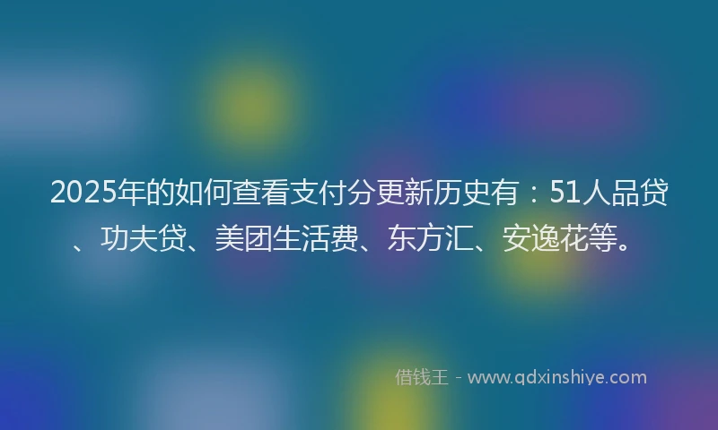 2025年的如何查看支付分更新历史有：51人品贷、功夫贷、美团生活费、东方汇、安逸花等。