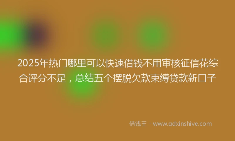 2025年热门哪里可以快速借钱不用审核征信花综合评分不足，总结五个摆脱欠款束缚贷款新口子