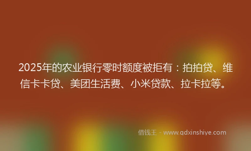 2025年的农业银行零时额度被拒有：拍拍贷、维信卡卡贷、美团生活费、小米贷款、拉卡拉等。