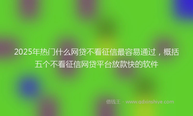 2025年热门什么网贷不看征信最容易通过，概括五个不看征信网贷平台放款快的软件