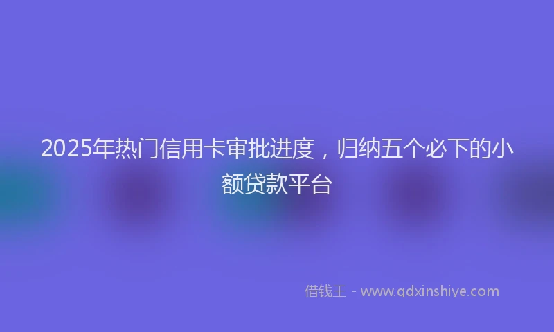 2025年热门信用卡审批进度，归纳五个必下的小额贷款平台