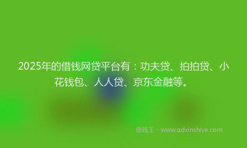 2025年的借钱网贷平台有：功夫贷、拍拍贷、小花钱包、人人贷、京东金融等。