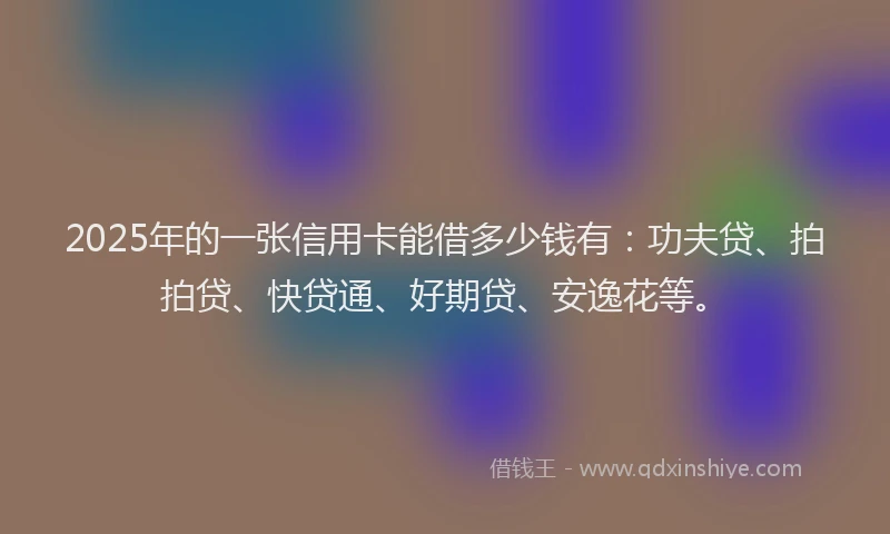 2025年的一张信用卡能借多少钱有：功夫贷、拍拍贷、快贷通、好期贷、安逸花等。
