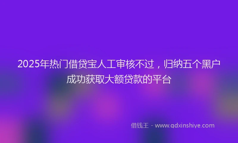 2025年热门借贷宝人工审核不过，归纳五个黑户成功获取大额贷款的平台