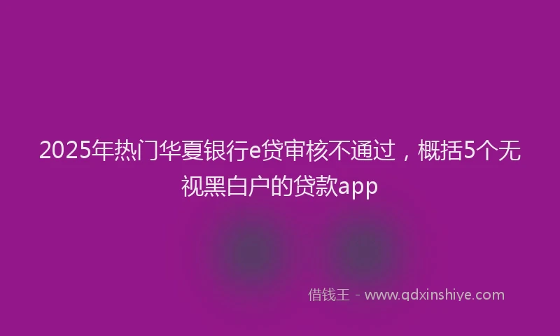 2025年热门华夏银行e贷审核不通过，概括5个无视黑白户的贷款app