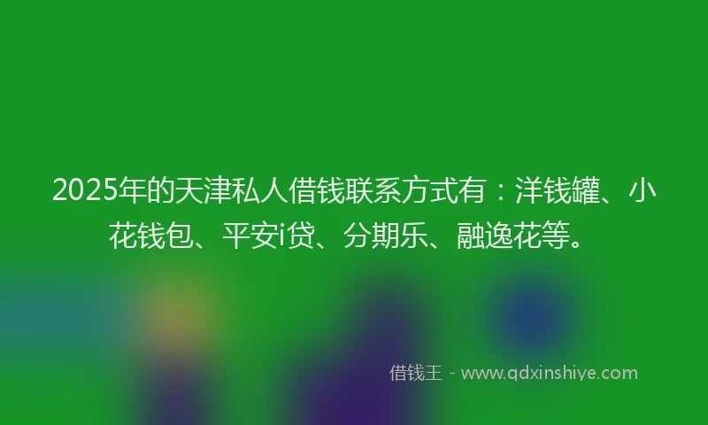 2025年的天津私人借钱联系方式有：洋钱罐、小花钱包、平安i贷、分期乐、融逸花等。