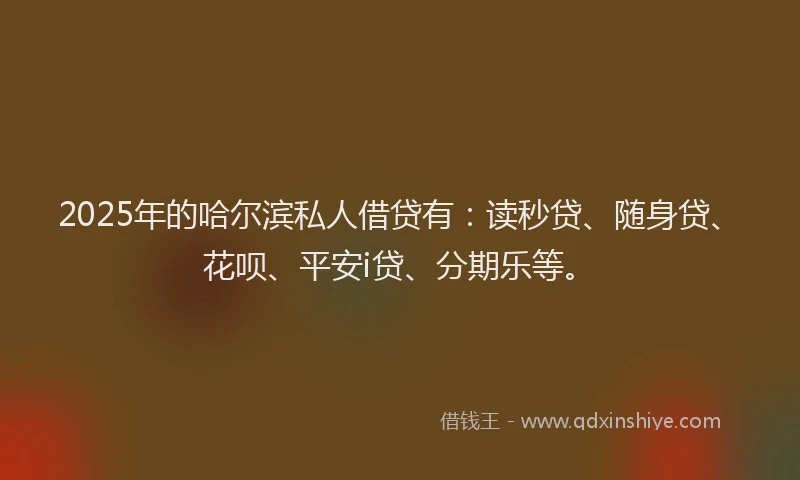 2025年的哈尔滨私人借贷有：读秒贷、随身贷、花呗、平安i贷、分期乐等。